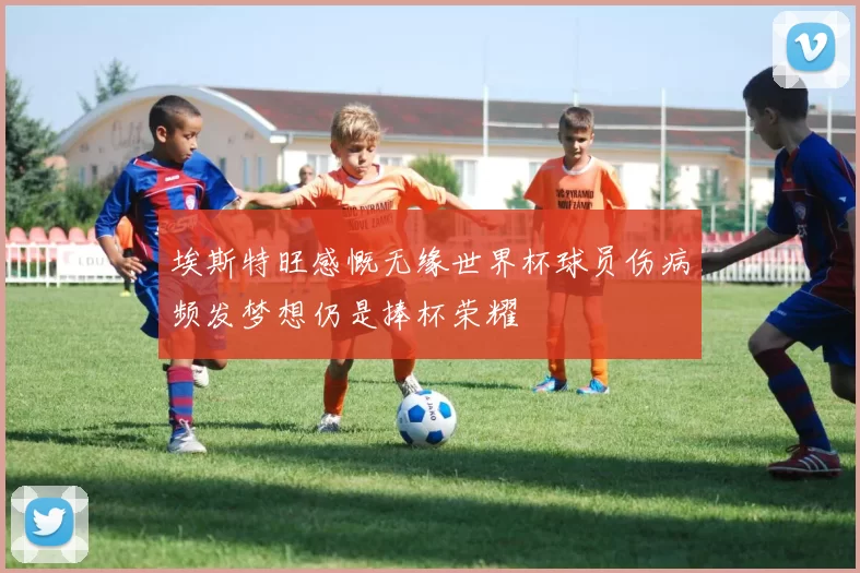 埃斯特旺感慨无缘世界杯球员伤病频发梦想仍是捧杯荣耀