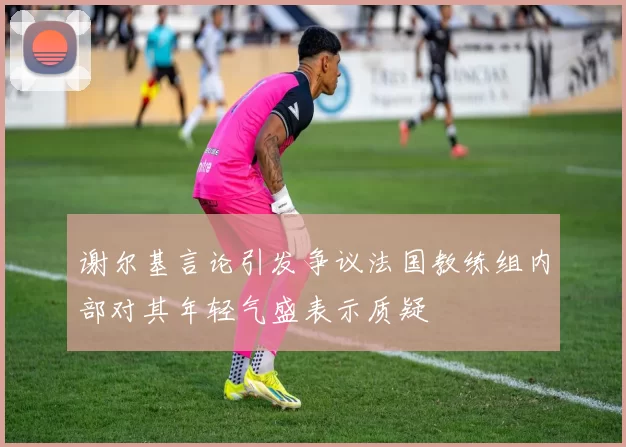 谢尔基言论引发争议法国教练组内部对其年轻气盛表示质疑
